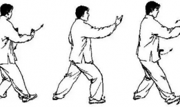 太极拳初学入门视频,入门视频精华解析