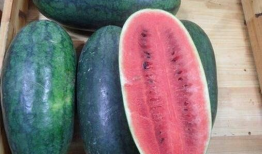 黑料社区吃瓜爆料入口,吃瓜爆料入口大揭秘！